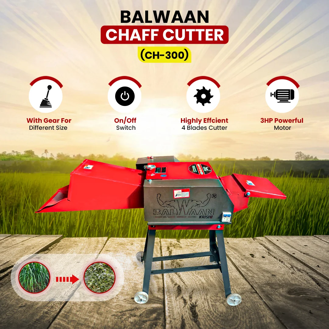 Balwaan-chaff-cutter-with-gear & motor-ch-300-2
